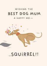 'Squirrel!' - Mother's Day Card From The Dog created by Studio Mads