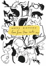 Cute Happy Birthday Card - from the cats! created by Miss Magpie Fashion Spy