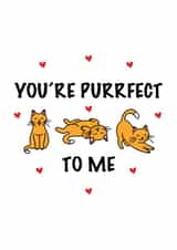 Cut Cat Anniversary/Love You Card for Significant Other - You're Purrfect To Me created by CalligraphyByEmilyM