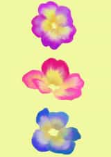 Cute floral card for the flower lover in your life 💛 created by Charlee Dawe