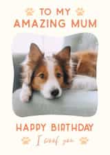 Personalised Birthday Photo Card created by @hollielonglanddesigns - Cute Birthday Photo Card - From the dog 1000