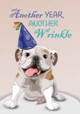 Another Year, Another Wrinkle created by Toff London