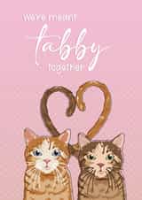 We Are Meant Tabby Together Romantic Cat Anniversary Card For Significant Other created by Toff London