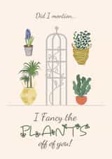 I Fancy the Plants Off You Funny Anniversary Card for Plant Loving Partners created by Toff London