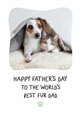 Personalised Father's Day Photo Card created by @hollielonglanddesigns - Cute Fathers Day Photo Card - From the Pets