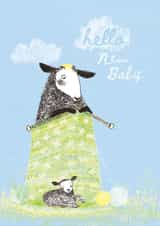 Beautiful New Baby card - Woolly's Baby Blanket - Sheep & Lamb created by Paper Bird