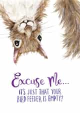 Funny Squirrel Card - Birdfeeder created by Citrus Bunn