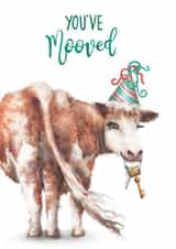 Funny New Home Card - You've Mooved - Cow created by Citrus Bunn
