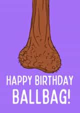 Rude Birthday Card - Happy Birthday Ballbag - Naughty Illustration created by Billy's Ballbags