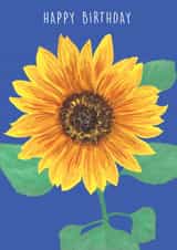 Happy Birthday Sunflower created by NS Illustration