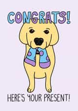 Congratulations Funny Golden Retriever Dog Pet Card with Sock Present created by Sunny Spills