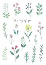 Pretty Thinking of You Card - Delicate Flowers created by Just like Sophie