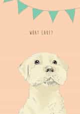 Funny Labrador Dog Birthday Card for friend - What Cake? created by Kate Daniels Design