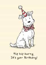Cute Birthday Card - From The Dog - Hip Hip Hooray It's Your Birthday! created by Elspeth Rose