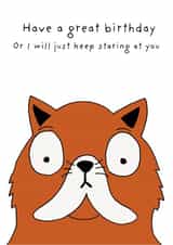 Cute Birthday Card - Cat - Keep Staring At You created by Not at all Jack