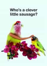 Funny Exams or Graduation Card - Who's a Clever Little Sausage? - Bird With Arms created by OBJECTABLES