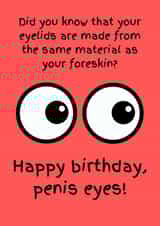 Rude Birthday Card - Penis Eyes - Dick Joke created by Lost Voice Guy 