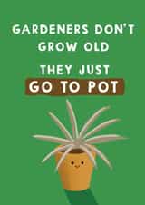 Cute Birthday Card - For Gardeners - Plant Pun created by Giddy Kipper