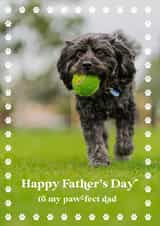 Personalised Father's Day Photo Card created by @tikkled.pink - Cute Fathers Day Photo Card - From The Dog - Pawfect
