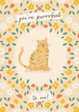 Cute Anniversary Card - Cat Illustration - You’re Purrrfect to me! created by Lisa Parker