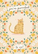 Cute Anniversary Card - Cat Illustration - You’re Purrrfect to me! created by Lisa Parker