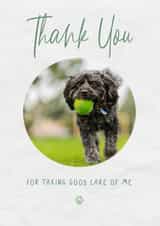 Personalised Thank You Photo Card created by @hollielonglanddesigns - Cute Thank You Photo Card - From Pets - Pet Sitting Or Vet