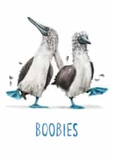 Boobies! - Fun Bird Pun Card created by Citrus Bunn