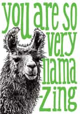 Cute Greetings Card - Llama - You are so very llama-zing created by The Visual Narrator