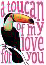 Cute Love Anniversary Card - Toucan - A toucan of my love for you created by The Visual Narrator