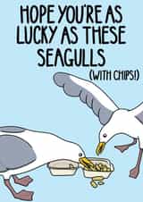 Funny Good Luck Card - Lucky - Seagulls With Chips! created by OhJaye