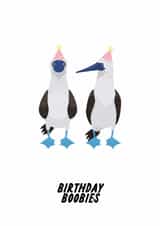 Funny Birthday Card - Boobies - Silly Joke created by The Marmalade Cat