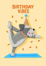 Cute Birthday Card - Yoga Dog - Miniature Schnauzer created by Nicola Watson