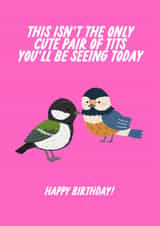 Rude Birthday Card - For Him - Pair Of Tits, Girlfriend, Boyfriend created by The Marmalade Cat