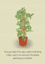 Funny Birthday Card - Gardening - Tomato Plant created by FoldupBiscuit