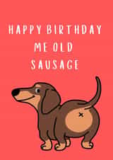 Funny Birthday Card for Friend - Happy Birthday Me Old sausage created by Houston's Prints 