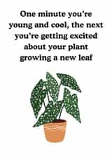 House plant lover birthday card created by Chonkies