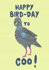 Cute and Punny Pigeon Happy Birthday Card - Pigeon - Happy Bird-Day to Coo! created by CLI Artist