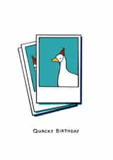 Cute Birthday Card - Duck Photo - Quacky Birthday created by Noah Edmund