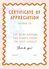 Certificate of appreciation thank you card, personalise fill in the blanks card created by Paper & Wool