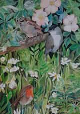 Hedgerow Burds created by Sally Taylor