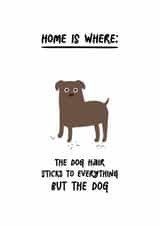 Cute New Home Card - Dog Owners - Dog Hair created by @hollielonglanddesigns