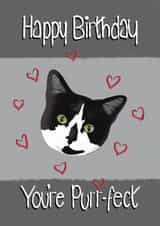 Cute birthday card for the cat lover in your life! created by Designs by Orrinea