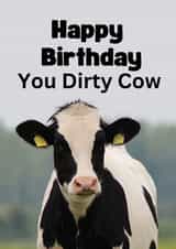 Funny Birthday card - dirty cow created by Riad Mannan