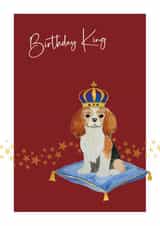 Birthday King - Cavalier King Charles Spaniel card created by Heather Trefusis Art