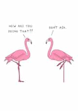 Funny Birthday Card - Flamingos - Cheeky created by AJS STUDIOS