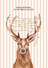 Cute Birthday Card - Deer - Light Of My Life created by lil wabbit