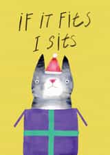 Funny Christmas Card - From The Cat - If It Fits I Sits created by JOLLY AWESOME
