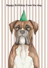 Cute Birthday Card - From The Dog - Boxer created by lil wabbit