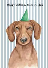 Cute Birthday Card - From The Dog - Dachshund created by lil wabbit