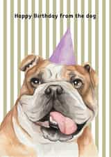 Cute Birthday Card - From The Dog - English Bulldog created by lil wabbit
